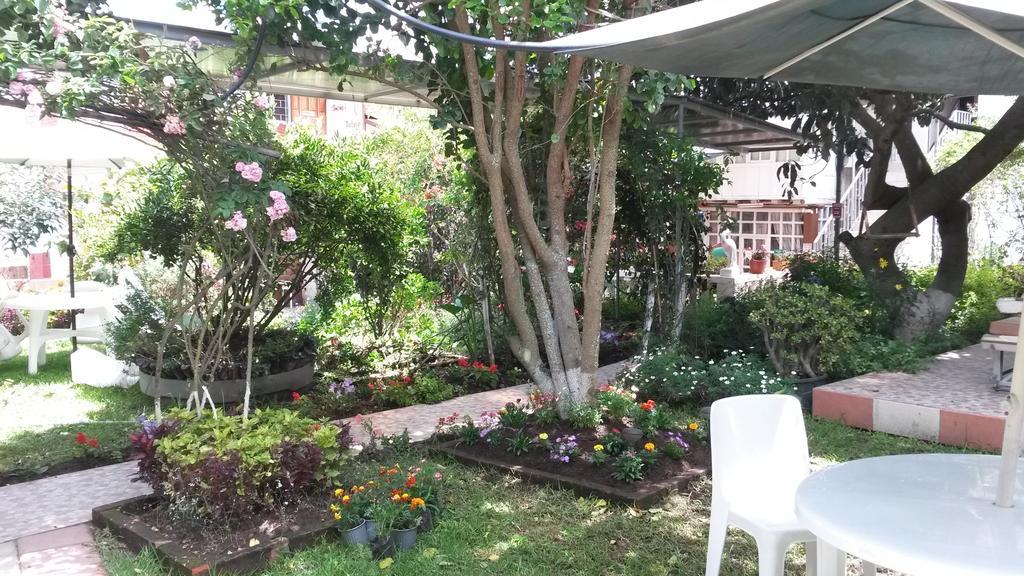 Hostal El Parque טבבלה מראה חיצוני תמונה