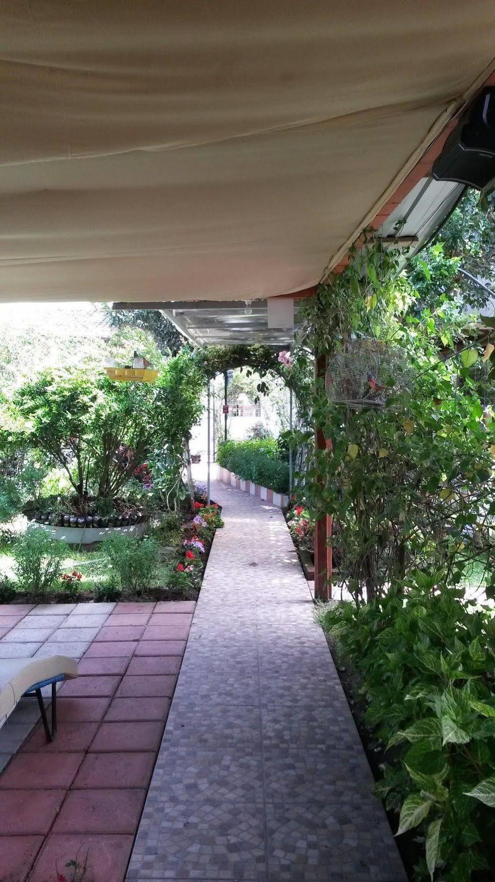 Hostal El Parque טבבלה מראה חיצוני תמונה